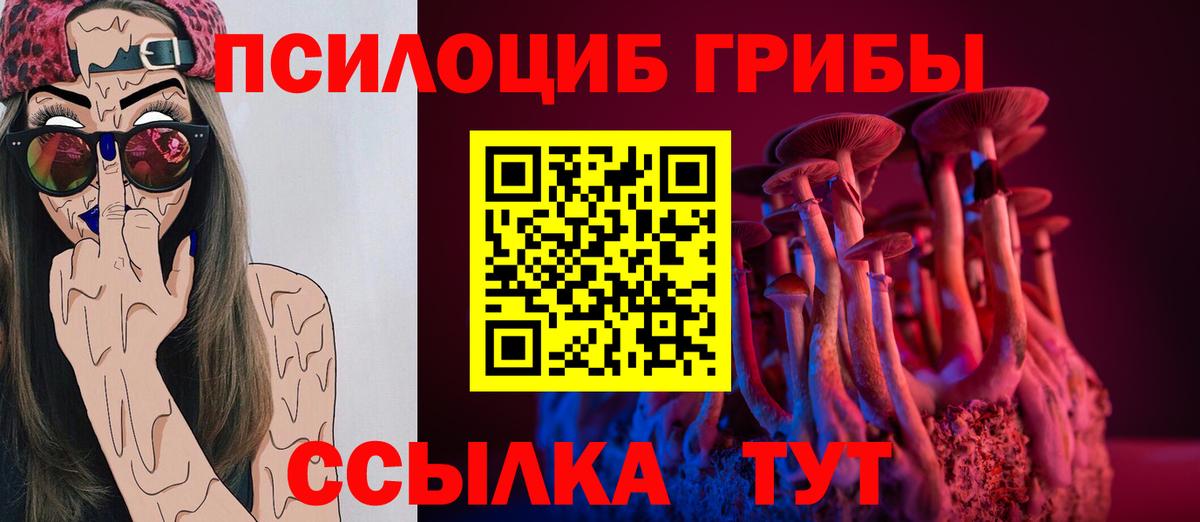 Симферополь  Псилоцибиновые грибы мицелий  Псилоцибиновые грибы Psilocybe  наркота  Вход с VPN 